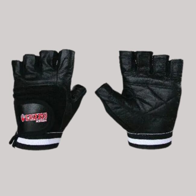 GANTS 8738 | PAW GRIZZLY NOIR