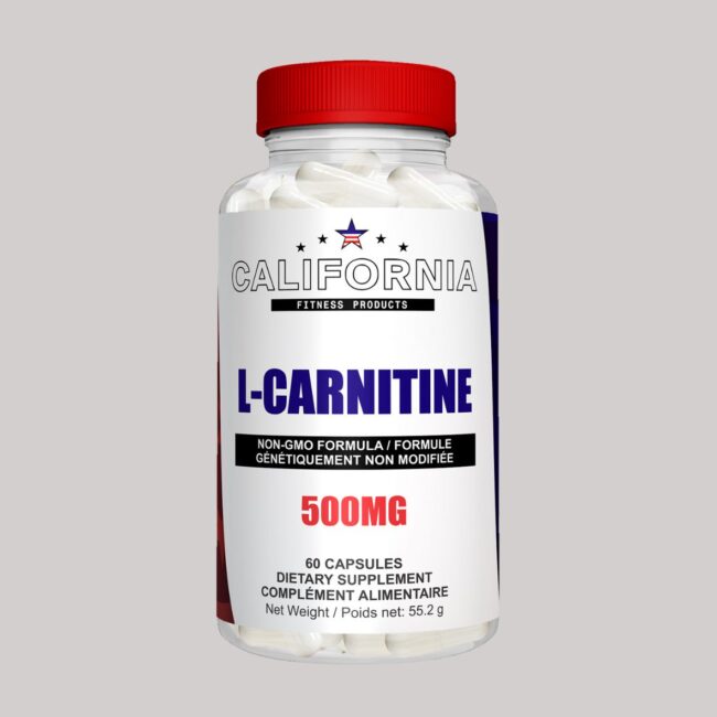 L-CARNITINE 500MG