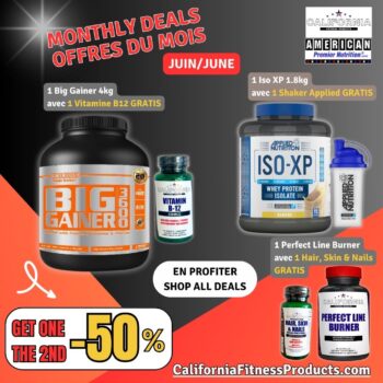 BIG GAINER PRO 4 KG + 1 Vitamin-B12 Gratis