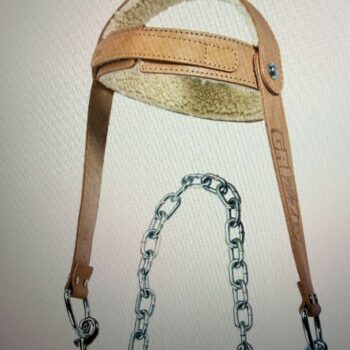 HARNAIS DE TÊTE - HEAD HARNESS